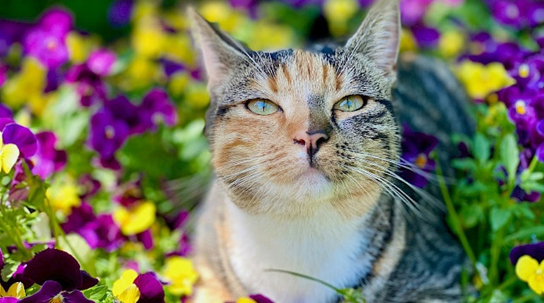 Погода на лівобережжі Херсонщини з 30 березня по 1 квітня: прогноз Українського гідрометеоцентру