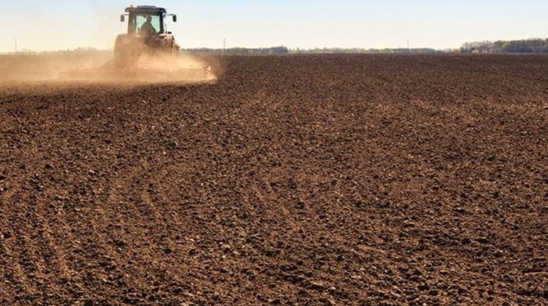 Аграрії Шосткинщини розпочинають весну в умовах кризових цін та обстрілів