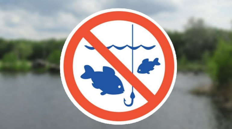 З 1 квітня на Київщині діє нерестова заборона: що потрібно знати рибалкам