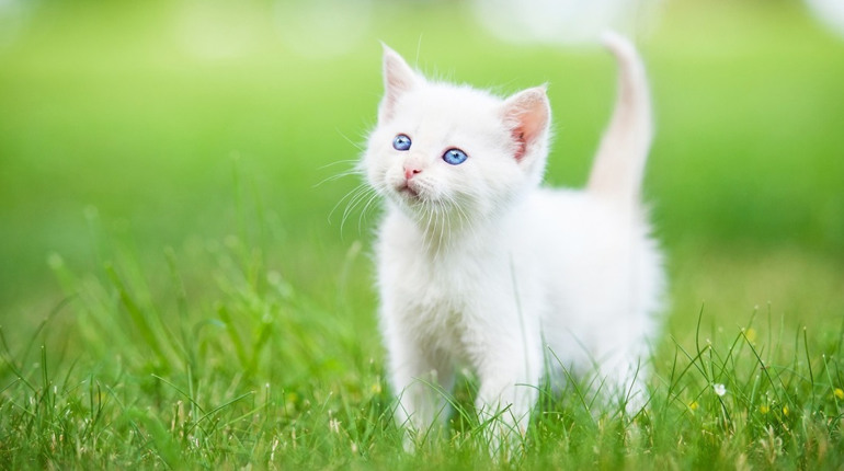 Погода на лівобережжі Херсонщини з 2 по 4 квітня: прогноз Українського гідрометеоцентру