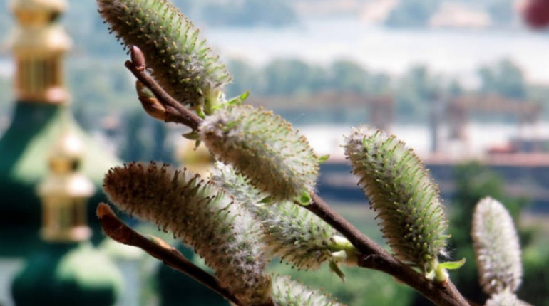 Прогноз погоди на 3-7 квітня