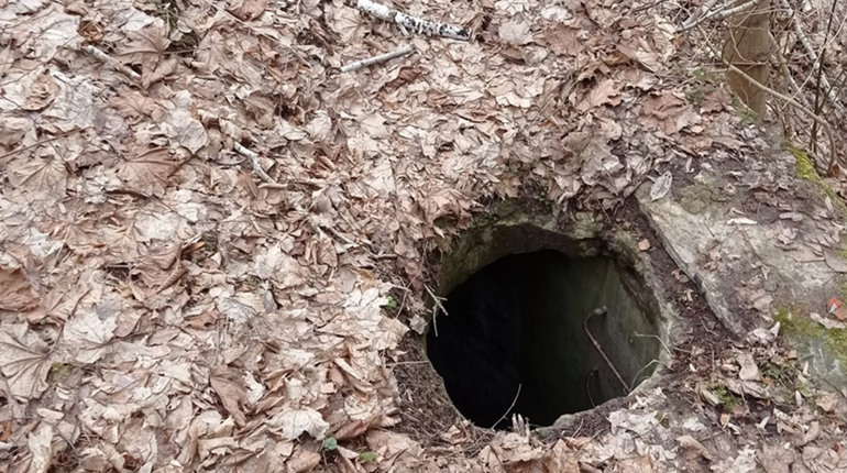 У кременецькому ботанічному саду — приховані пастки: відвідувачів закликають бути обережними