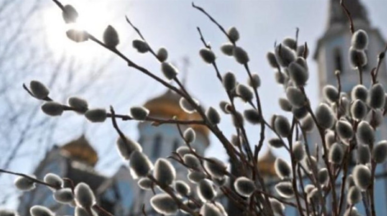 Вербна неділя 2026: дата святкування, головні звичаї та церковні заборони