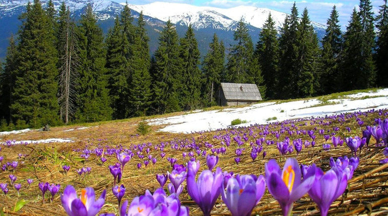 В Україні розпочався «сезон тиші»: що заборонено