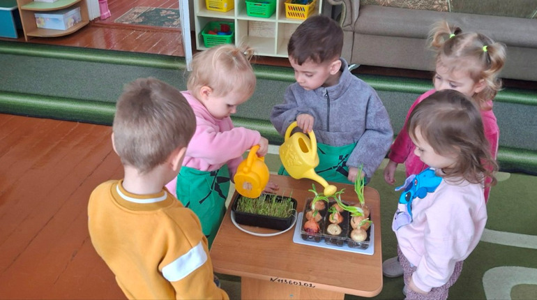 Чудеса на підвіконні: як у первомайському дитсадку «Ластівка» вирощують допитливість і вітаміни