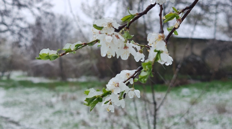 Яку погоду чекати на Великодньому тижні