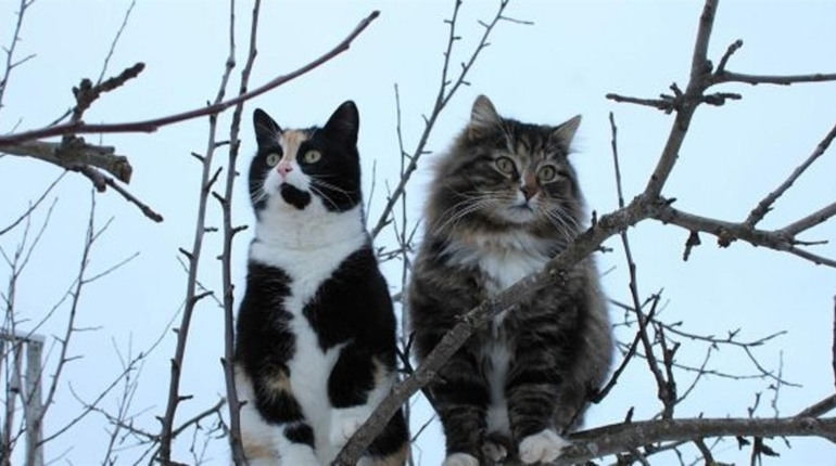 Погода на лівобережжі Херсонщини з 8 по 10 квітня: прогноз Українського гідрометеоцентру