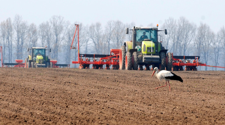 Посівна-2026: аграрії вже засіяли понад 800 тисяч гектарів зернових