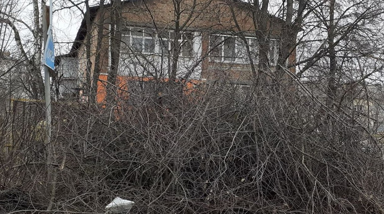 У Глухові пояснили, чому обрізане гілля не забирає комунальна техніка