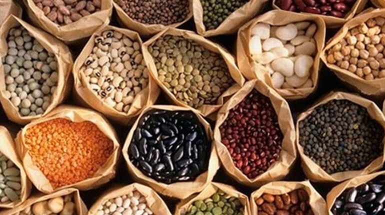 Насіння овочевих культур: що повинен знати покупець