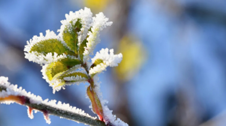 Квітневі погодні викрутаси...