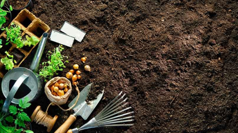 Місячний посівний календар на квітень 2026: сприятливі дні та поради для щедрого врожаю