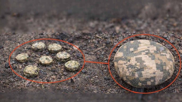 РФ масово застосовує нові протипіхотні міни, надруковані на 3D-принтері