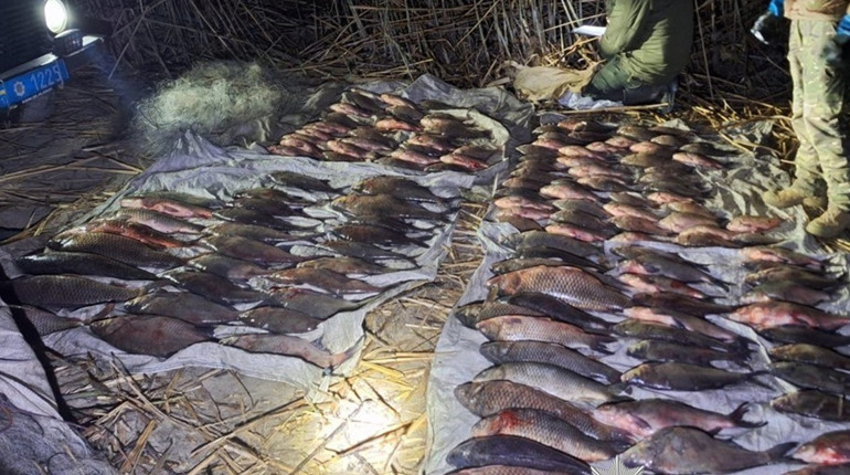 На Полтавщині затримали браконьєрів із 150 кг риби. Збитки — понад 900 тисяч гривень