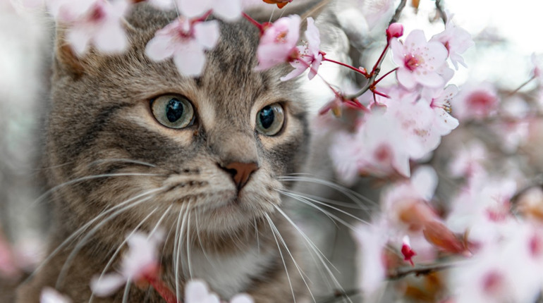 Погода на лівобережжі Херсонщини з 11 по 13 квітня: прогноз Українського гідрометеоцентру