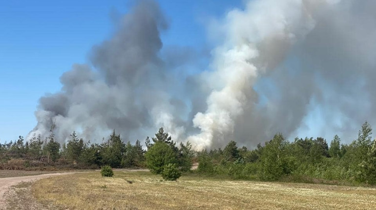 Пожежі в екосистемах Полтавщини: 105 випадків з початку року