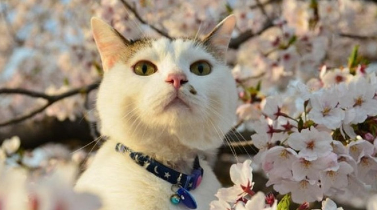 Погода на лівобережжі Херсонщини з 14 по 16 квітня: прогноз Українського гідрометеоцентру