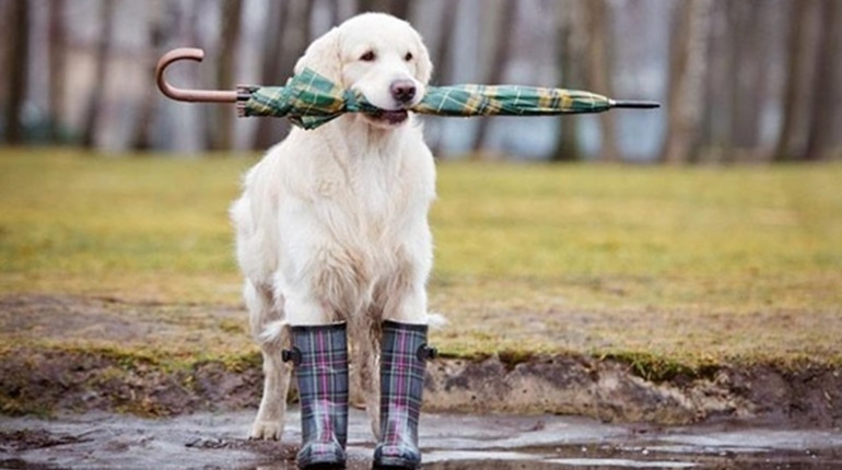 Прогноз погоди на 15-19 квітня по Чернігівщині