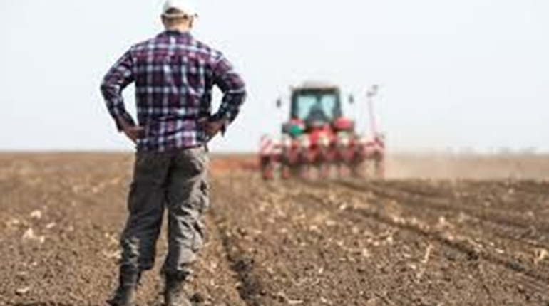 Полтавська облрада спрямувала 10 млн грн на підтримку тваринництва та фермерів