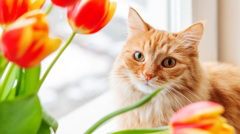 Погода на лівобережжі Херсонщини з 17 по 19 квітня: прогноз Українського гідрометеоцентру