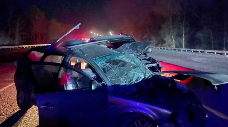 Смертельна ДТП на Фастівщині: загинув 83-річний водій