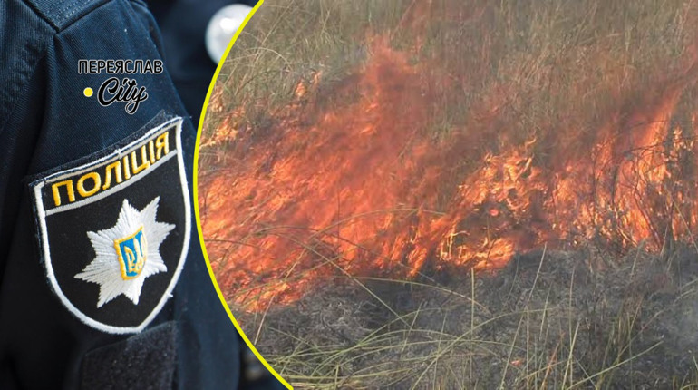 На вулиці Музейній у Переяславі горів луг, вогонь підійшов до будинків: хроніка поліції