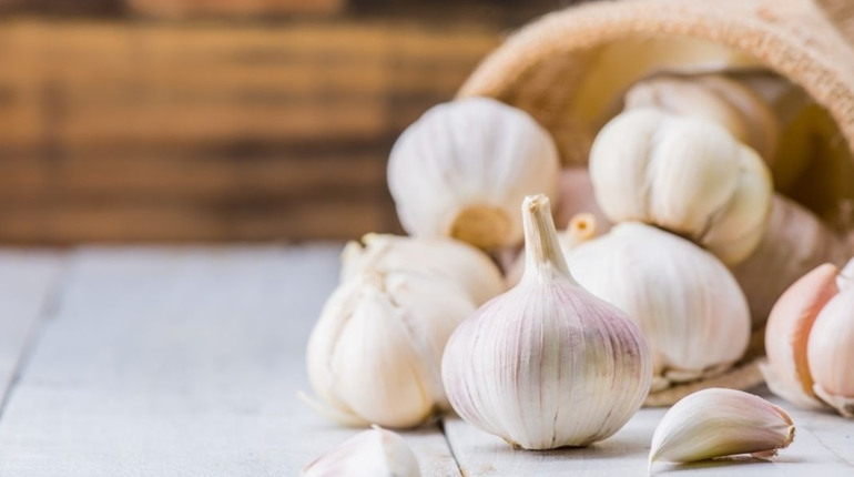 19 квітня: День часнику та інші події, дати, свята, народні прикмети