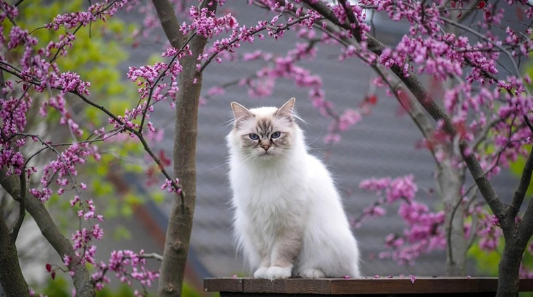 Погода на лівобережжі Херсонщини з 20 по 22 квітня: прогноз Українського гідрометеоцентру