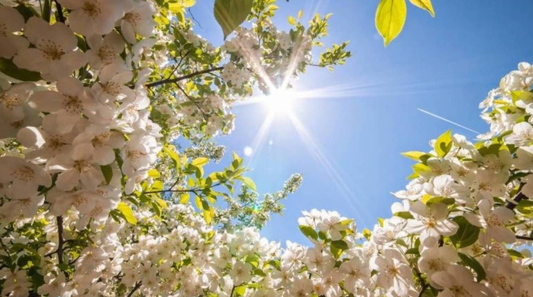 Південноукраїнська весна з характером: повний розклад дощів, вітру та сонця на 20-26 квітня