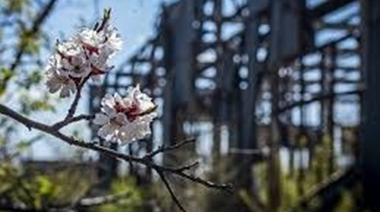 Щоденник війни. Тиждень двісті десятий. Нехай весь світ почекає, допоки ми трохи видихнемо.