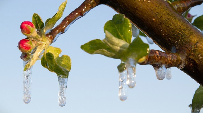 Прогноз погоди на 20-22 квітня