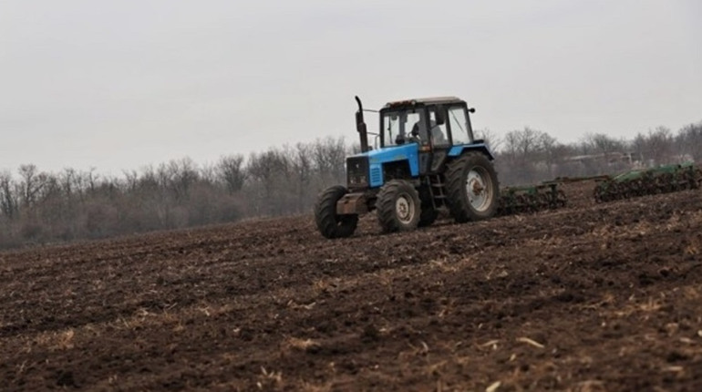 Кабмін оновив правила оцінки сільгоспземель у прифронтових регіонах: що зміниться для аграріїв