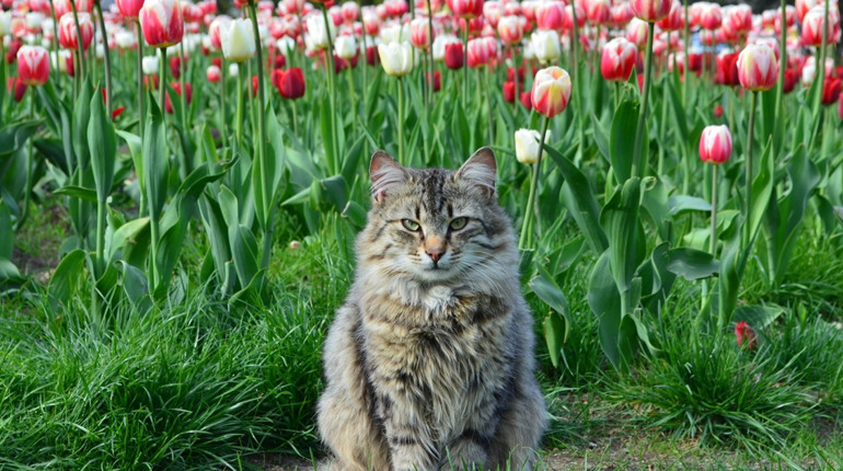 Погода на лівобережжі Херсонщини з 23 по 25 квітня: прогноз Українського гідрометцентру