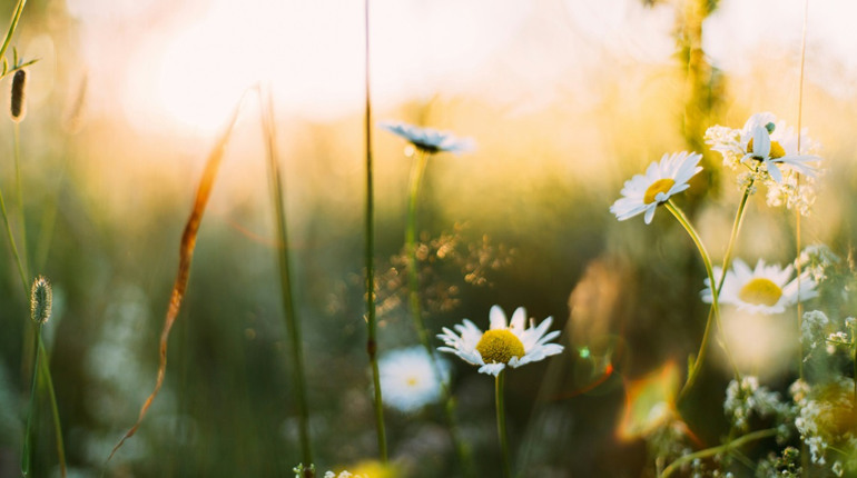 Погода на Гадяччині: прогноз від синоптиків на тиждень