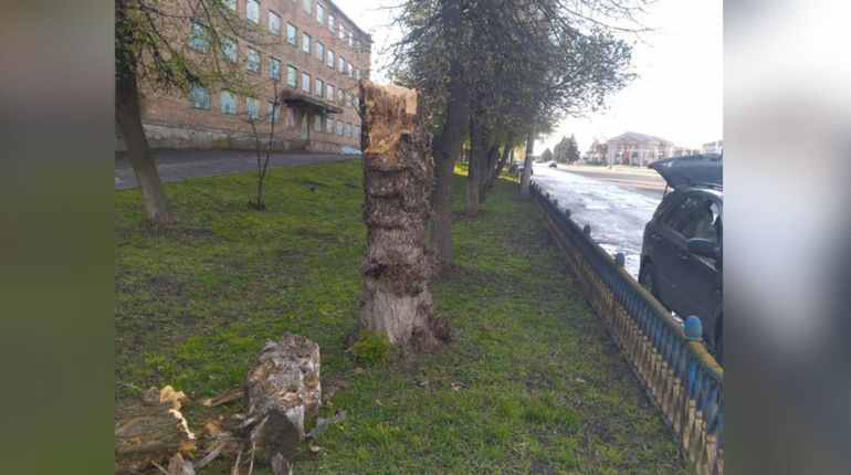 Шквальний вітер і дощ: які наслідки для Золотоноші