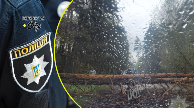 Буревій на Переяславщині повалив дерева і наробив шкоди: хроніка поліції