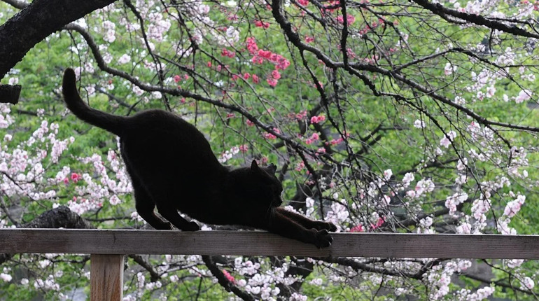 Погода на лівобережжі Херсонщини з 29 квітня по 1 травня: прогноз Українського гідрометеоцентру