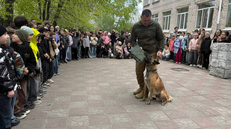 Військові, діти і Оскар: первомайська школа передала кошти на потреби Сил оборони. Фоторепортаж