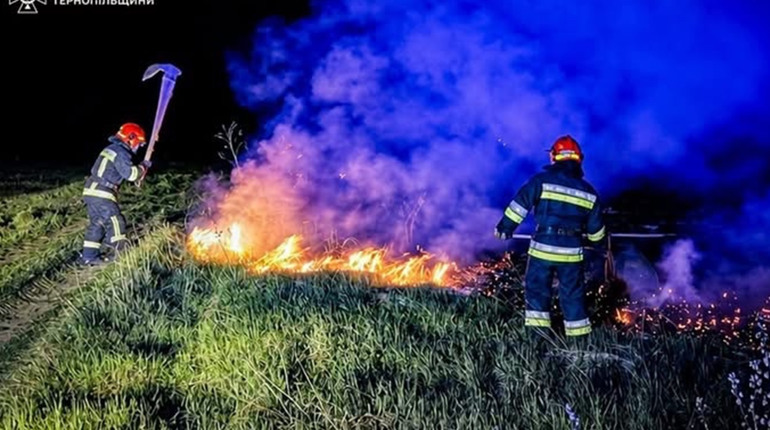 На Кременеччині за добу ліквідували дві пожежі сухої трави