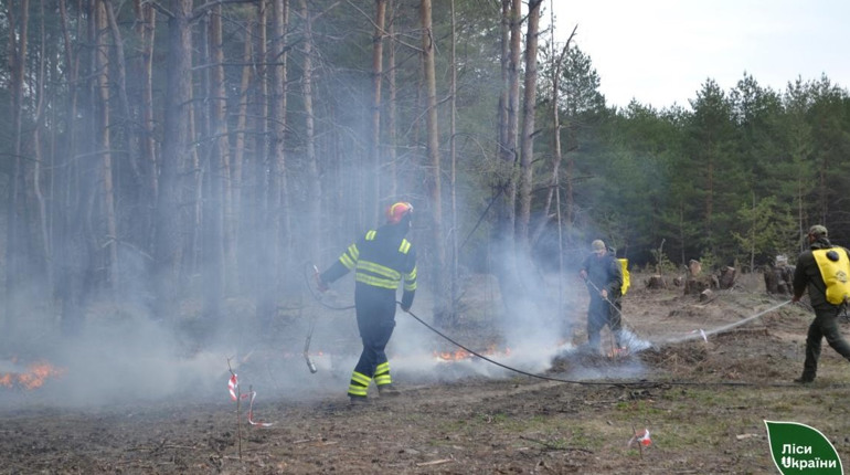 На Полтавщині зафіксували дві лісові пожежі: одна — через ворожий дрон