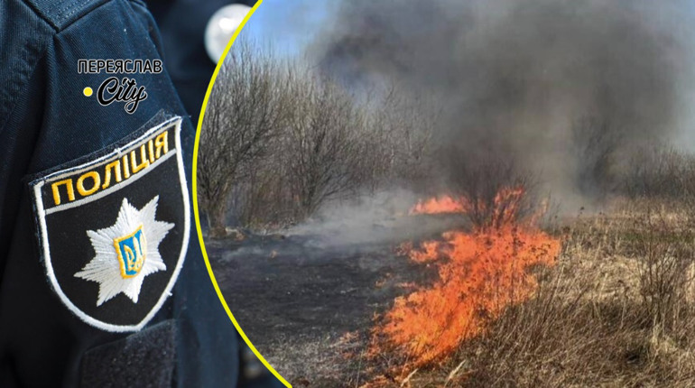 Біля "бази Кличка" горіла трава, а на Альті очерет: хроніка поліції