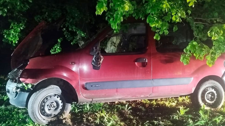 На Гадяччині п'яний врізався в дерево: відкрите кримінальне провадження