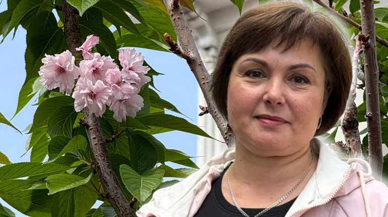 Чому в Глухові не розквітли сакури: науковиця пояснила причини весняної аномалії