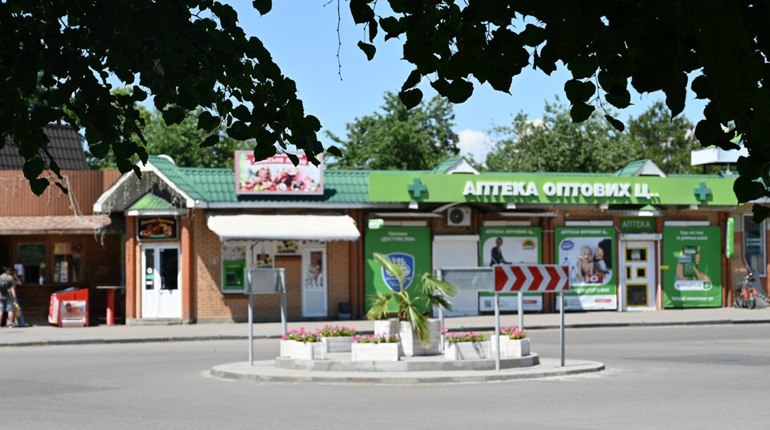 Кіпрська пальма у Золотоноші: історія курортного деревця