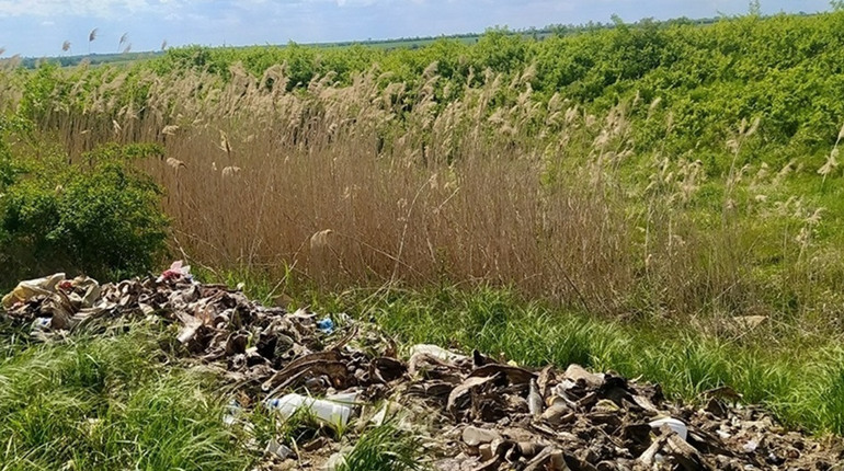 До 10 років ув’язнення за шкоду довкіллю: у Раді зареєстрували законопроєкт