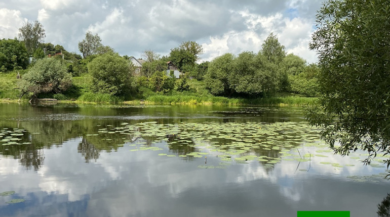 На міському пляжі Звягеля виявлено небезпечне перевищення кишкової палички у воді Случі