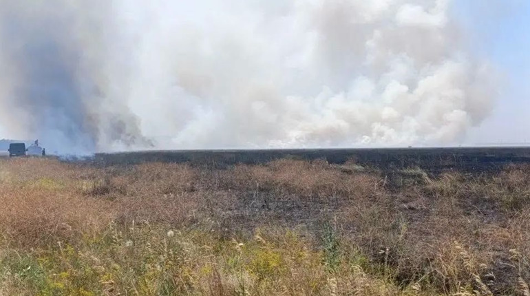 “Асканія-Нова” знову горить: як війна та окупація знищують один із найцінніших степів Європи