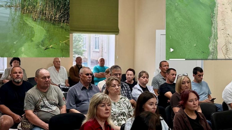 Чи стане Берестова знову живою? У громаді презентували проєкт відновлення