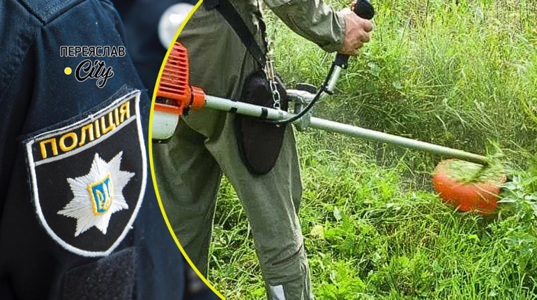 У Переяславі жінка заявила на чоловіків, які по дорозі розкидали скошену траву: хроніка поліції
