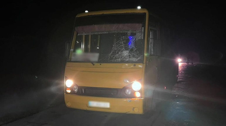 Смертельна ДТП у Звягелі